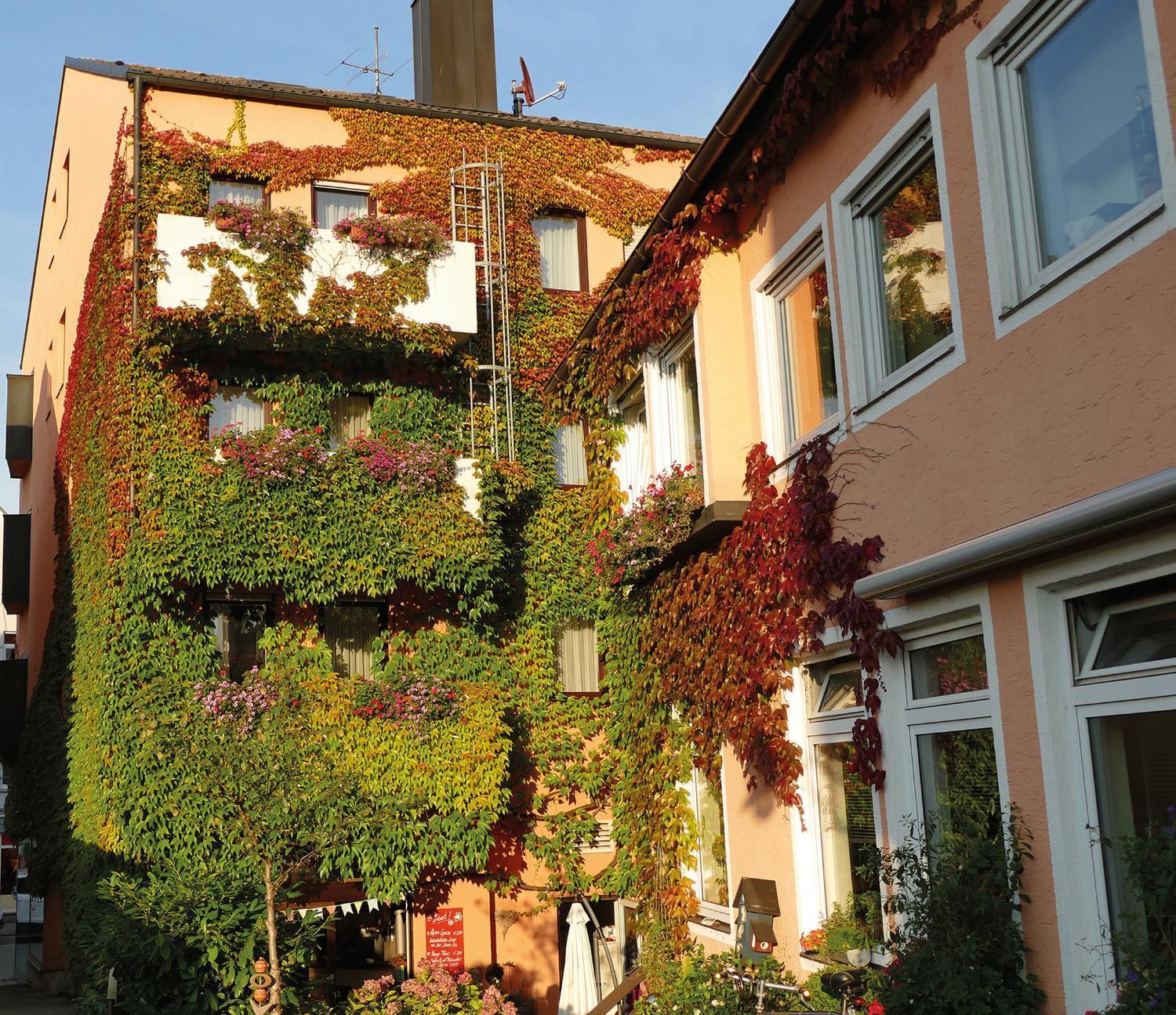 Hasi'S Hotel Grafing bei Muenchen Экстерьер фото
